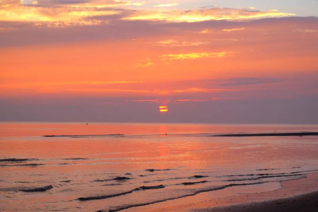 不吃不知道，这座海滨城市就是北方的顺德啊