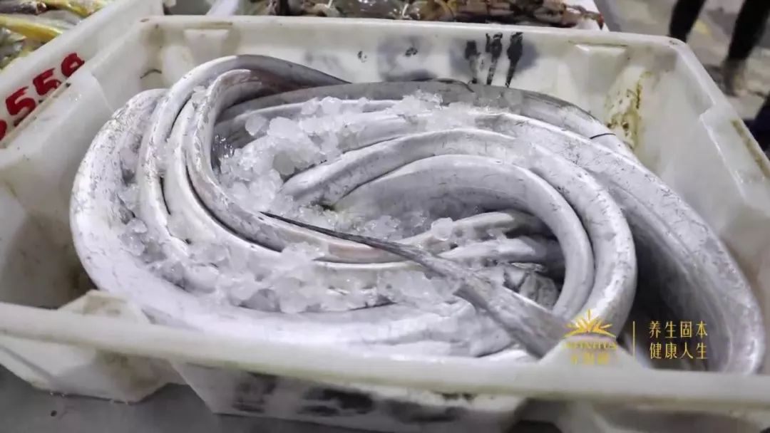 过年必囤的海鲜,过年买什么样的海鲜最有逼格