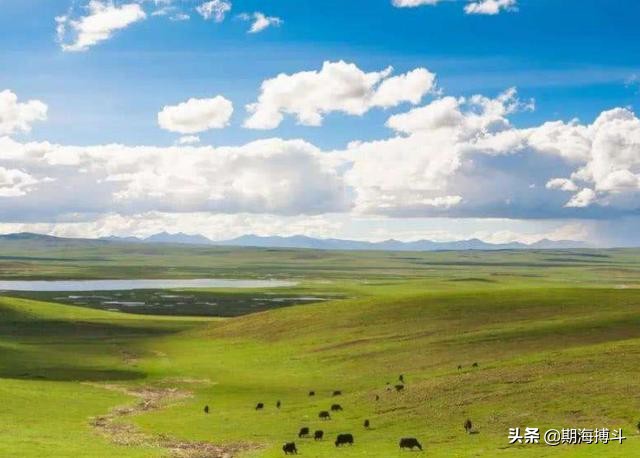 期货日内之王,期货真正的日内高手