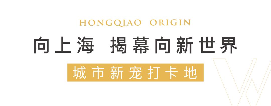 向新力系列纪录片,向新力纪录片