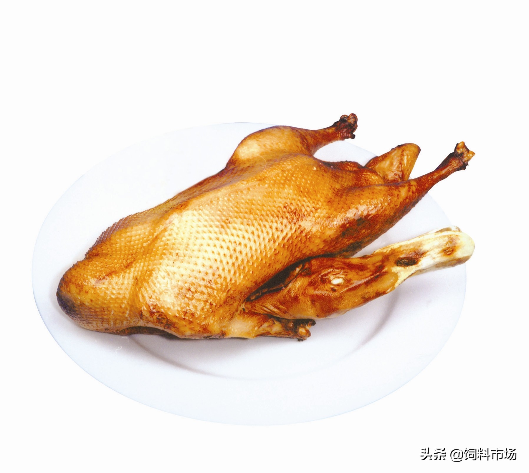 微山岛麻鸭,微山湖县城麻鸭