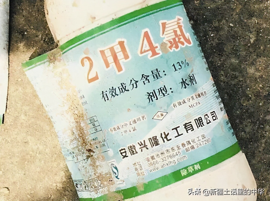 虱子虮子跳蚤的区别,虱子和虮子怎么消失的