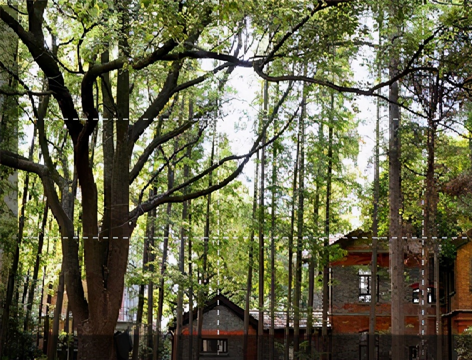 上海理工大学属于什么档次的大学,上海理工大学属于双一流大学吗