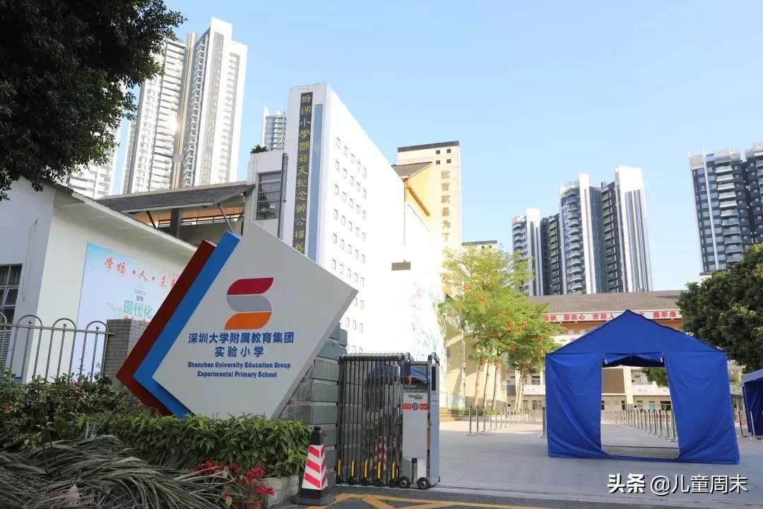 深圳龙岗十大民办小学排名,深圳南山区十大公立小学