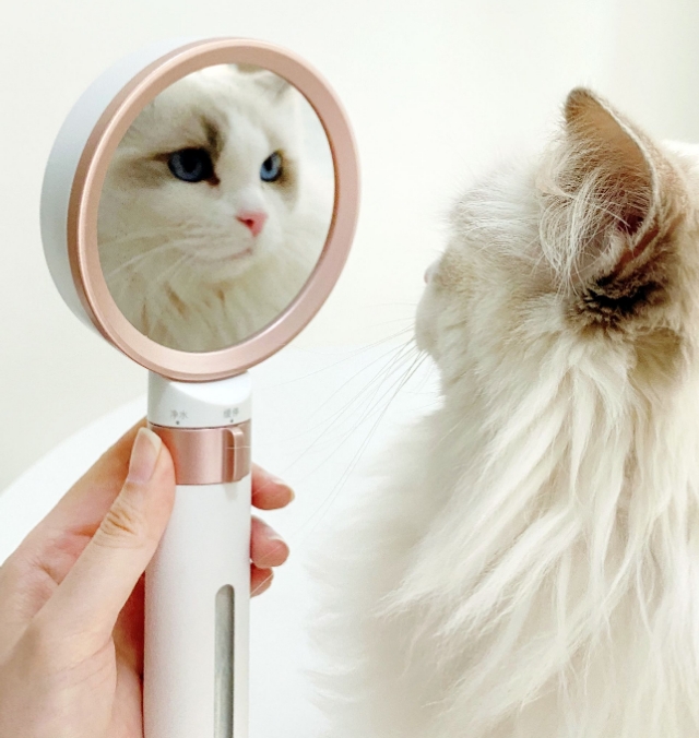 除氯增压花洒哪个牌子好,国货淋浴花洒