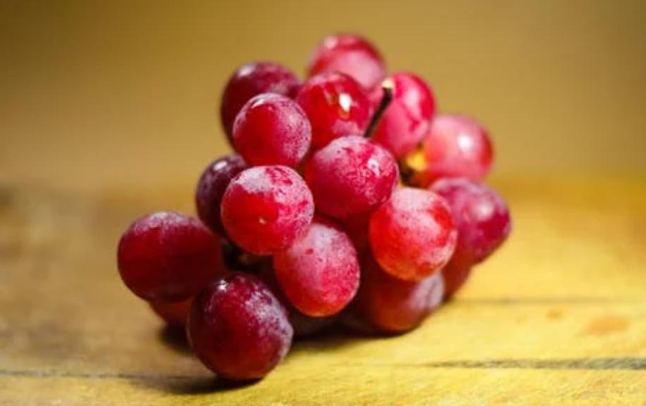 想开个小型水果店怎么找货源,想开高端水果店怎么找货源