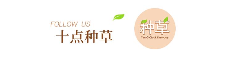 10色唇釉,10款爆款口红