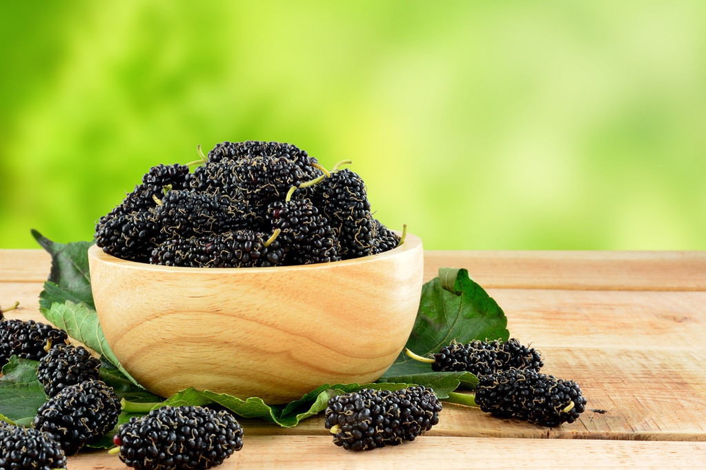 中医讲润肠通便的食材,药师养生小妙招