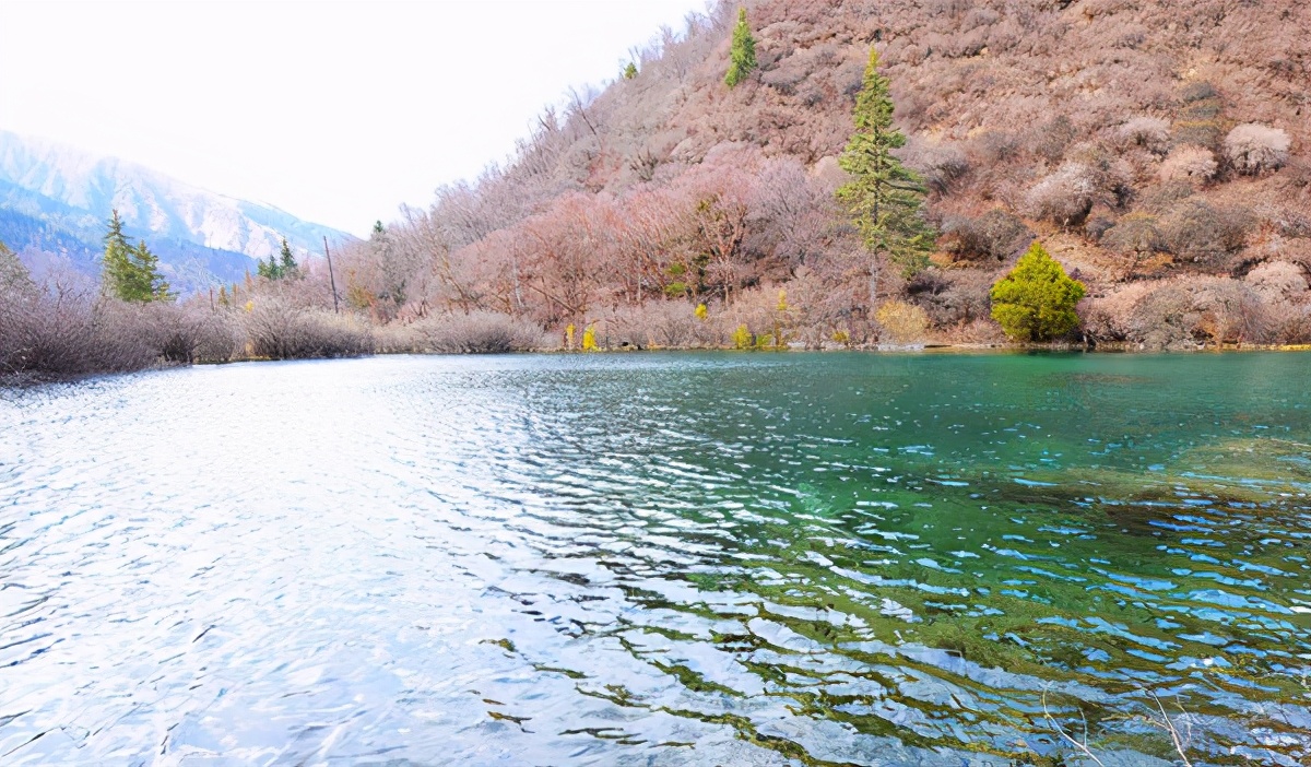 九寨沟最美的一处景点,九寨沟风景区好山好水好风光