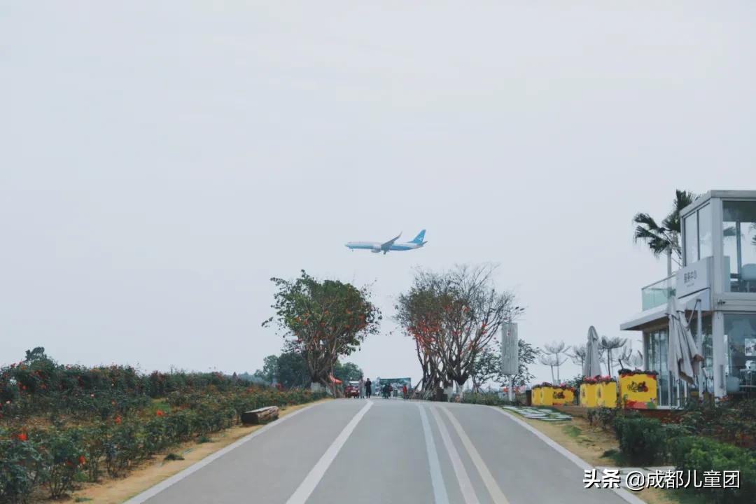 空港花田和空港体育公园哪个好,空港运动公园看飞机攻略