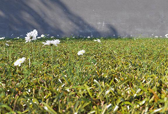 如何使用3DSMAX制作和渲染超逼真的3d草