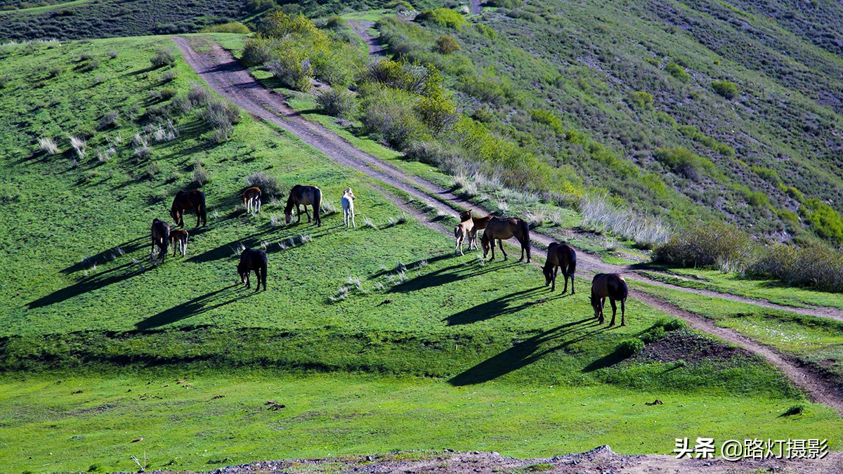 中国最适合自驾游的十大旅游胜地,夏季最适合自驾旅游的地方