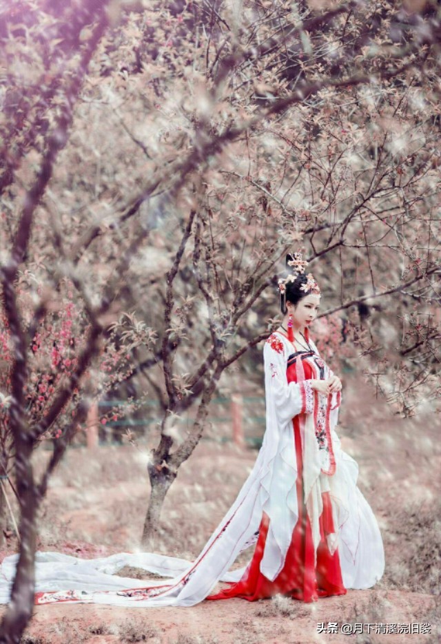 梅开二度,一段鲜为人知的爱情故事「梅花见证纯美的爱情」