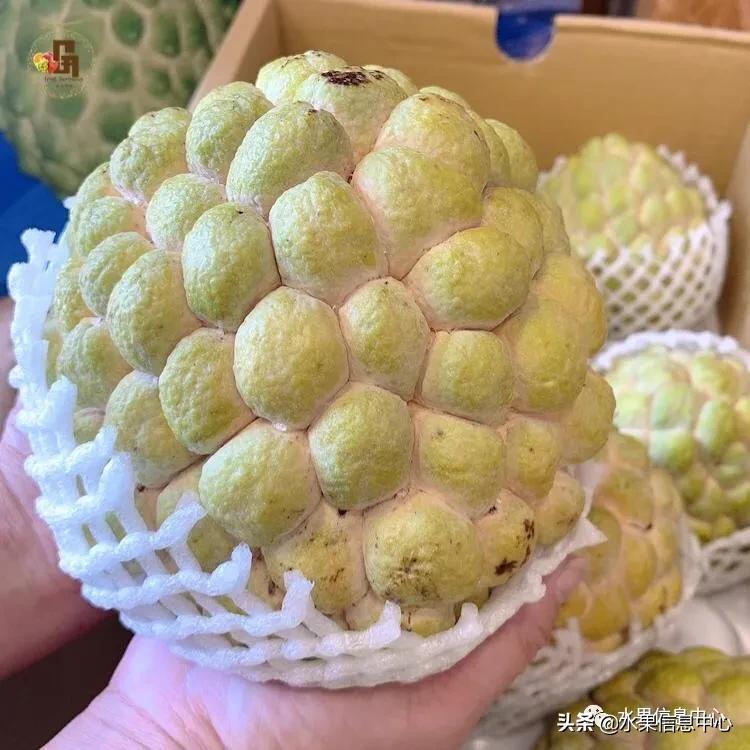 卖进口水果利弊,卖进口水果怎么卖