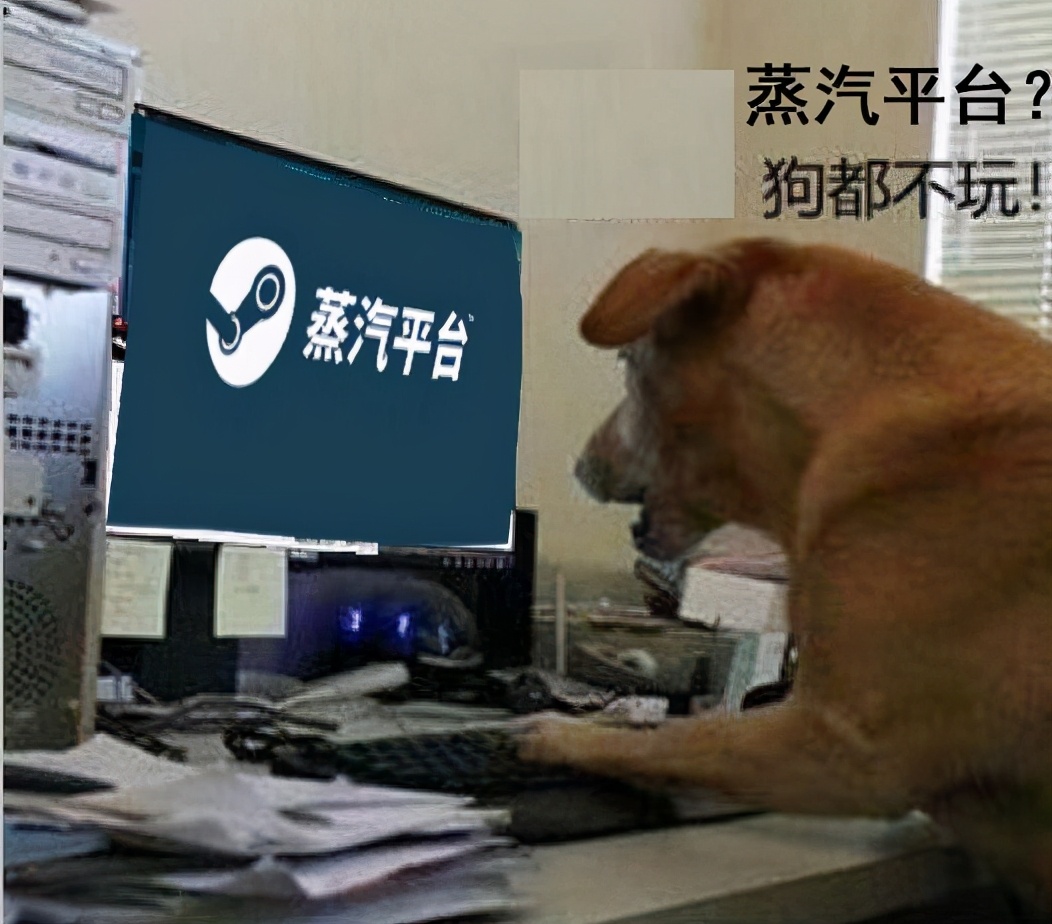 正式上线的第十天，我们该如何看待蒸汽平台？