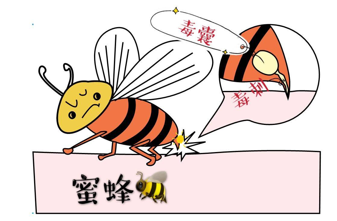 小孩招惹蜜蜂被蜜蜂给蛰,孩子被蜜蜂蜇视频