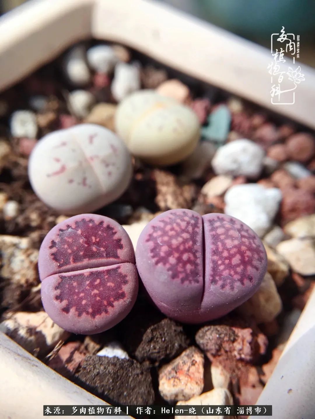 人到中年温暖如初,人到中年岁月静好