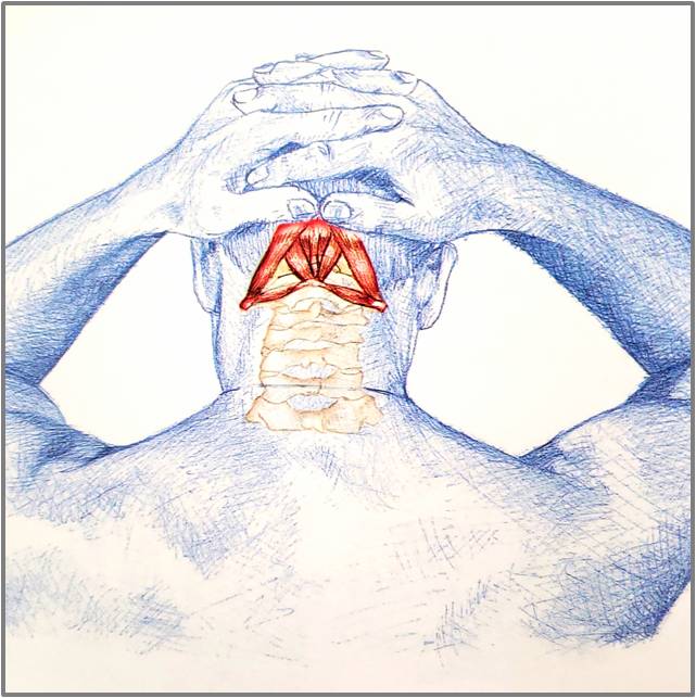 颈部的锻炼方法脖子酸胀,颈部舒缓拉伸动作