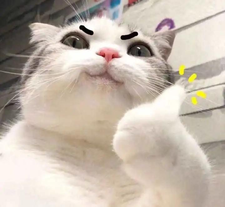 你有英文名吗段子,你有英文名吗的英文