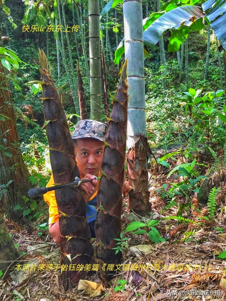 广东梅州千年古村,梅州市山青水秀