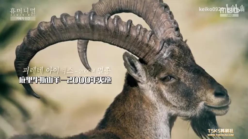 15岁怀孕的她，被骗吃下*药炸**，无辜去世：生而为人，有些人却不配