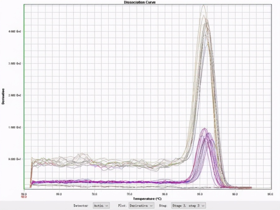 qpcr一点曲线都没有,qpcr循环数不一样怎么办