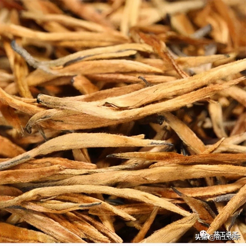 正山小种的茶文化知识,正山小种茶知识大全