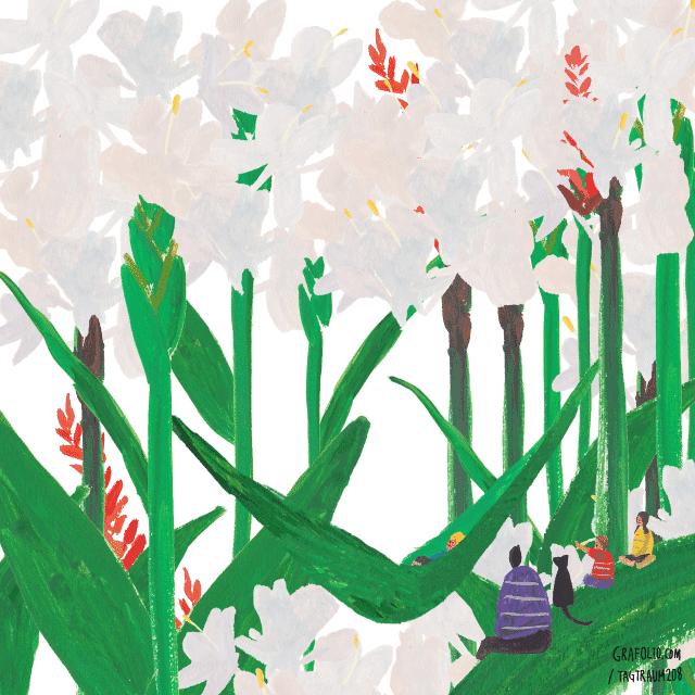 好看的动图系列,日本插画师ekuboon作品手绘