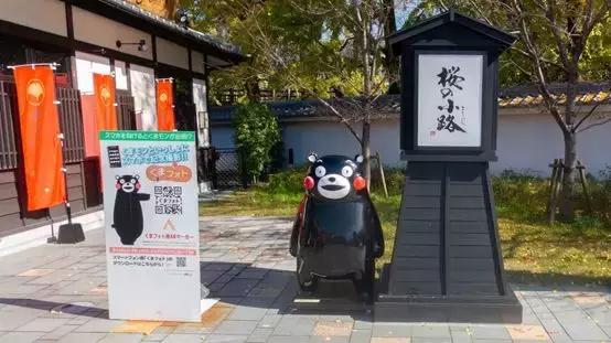 鹿儿岛与熊本,熊本县一日游超全攻略