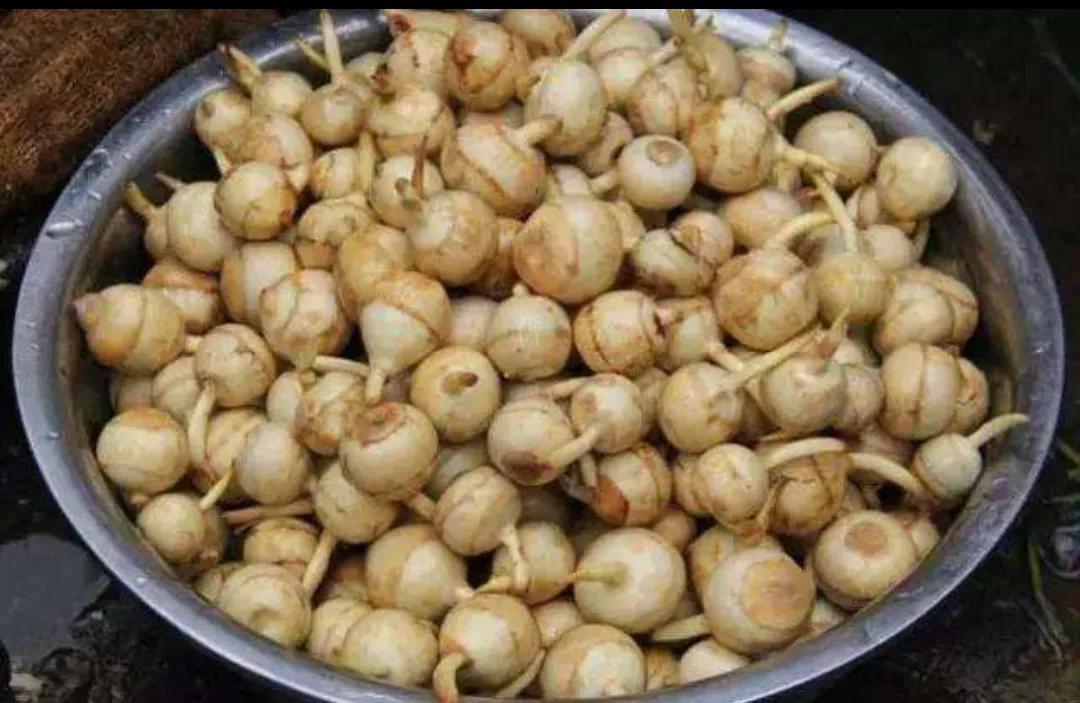 支气管扩张不可逆怎么办,支气管扩张不治疗有什么后果