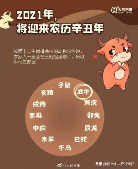 牛年知识点汇总,牛年有几个小知识
