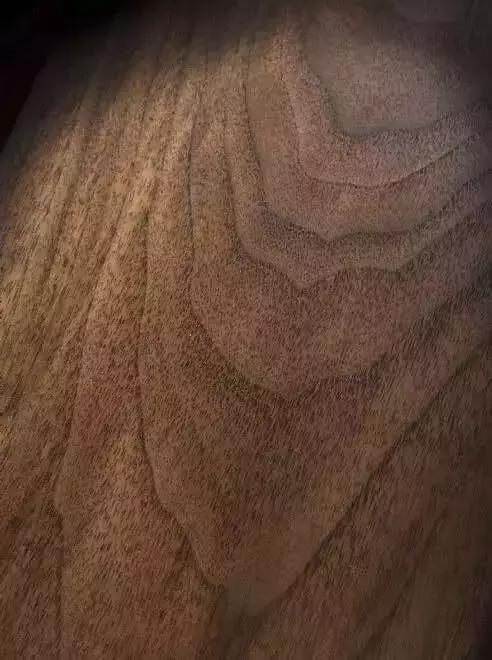 黑胡桃三种颜色顺序,十大黑胡桃木品种