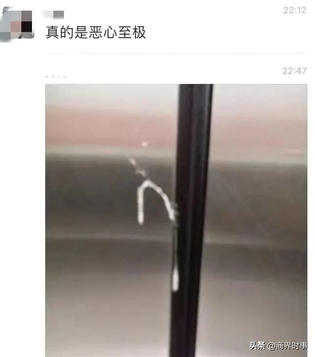 武汉封城53天，我看到了为人父母最丑陋的一面