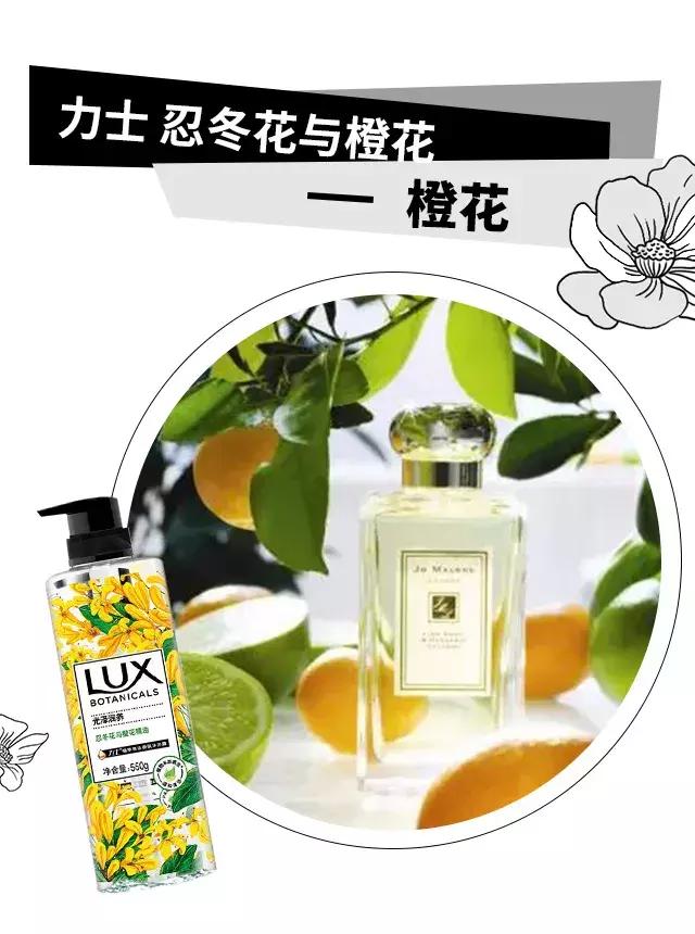 很多的沐浴露,哪些沐浴露和大牌香水一样