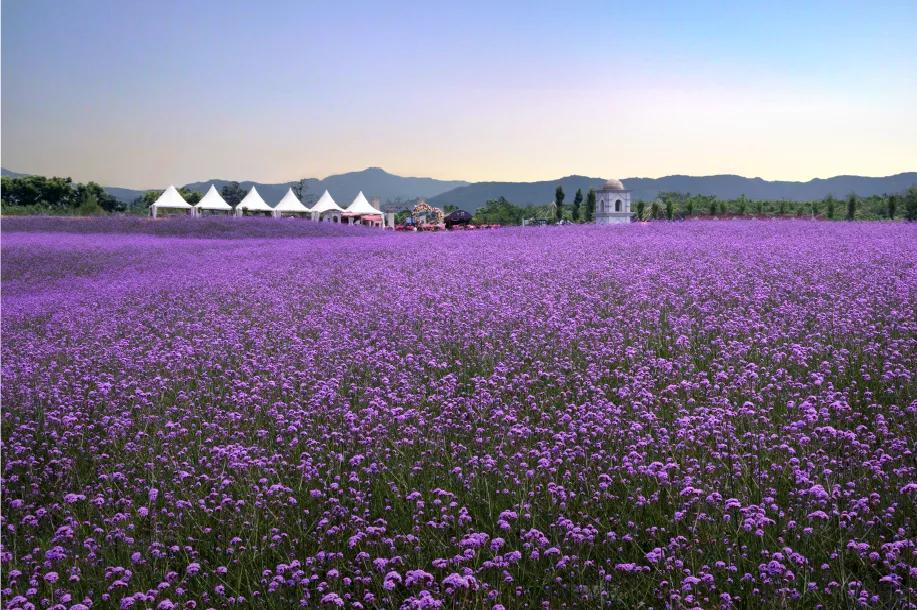 成都天府新区有什么景点,成都天府新区有哪些景点