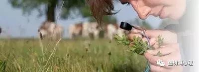 焦点解决短期辅导,焦点短期解决疗法的基本流程