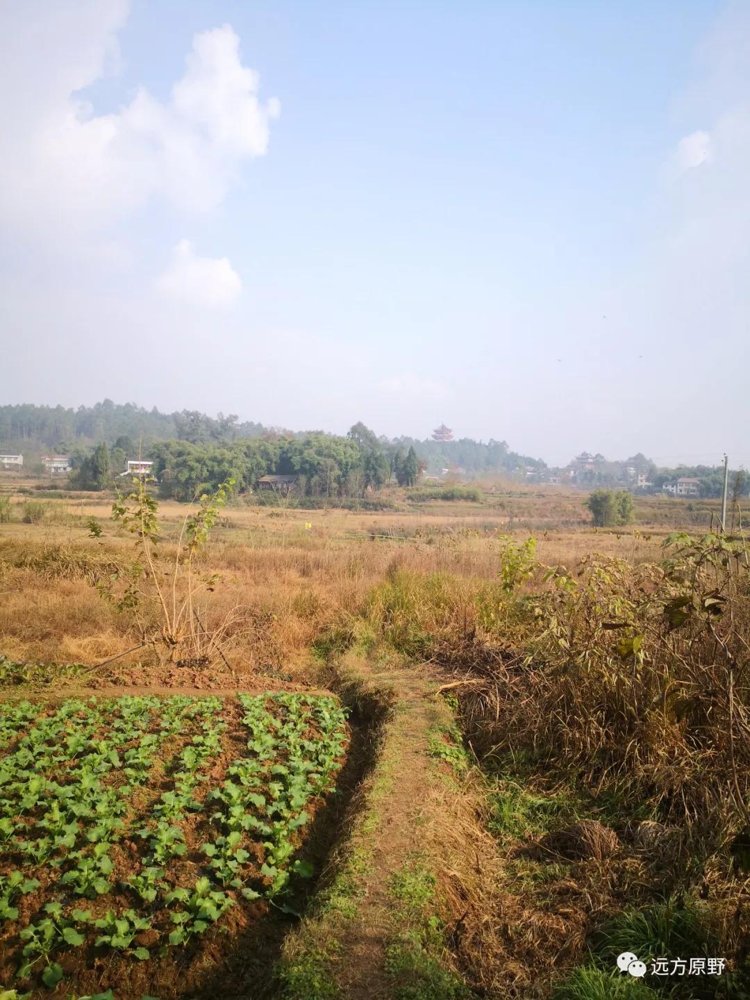 你想要的田园生活在哪里,你所向往的生活是什么