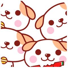 厦门鹭江新城小学,厦门规模最大的小学