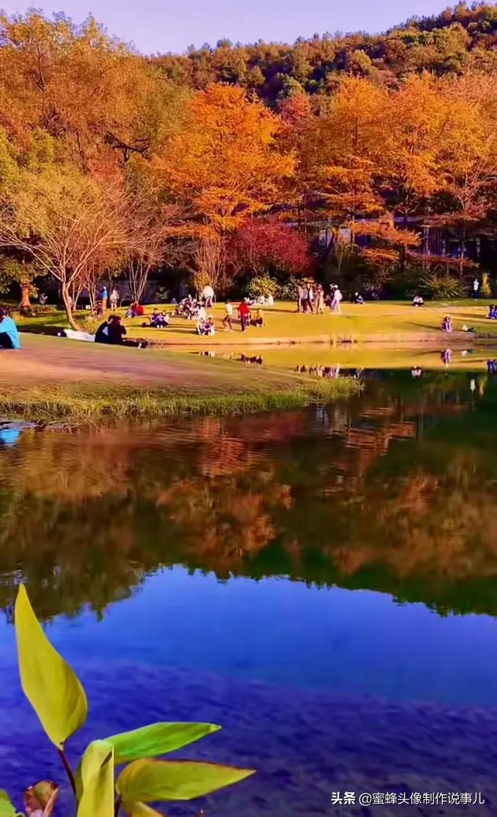 清新养眼青山绿水风景桌面壁纸,壁纸图片蓝天白云青山绿水