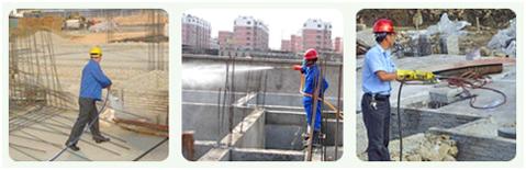 珠海市白蚁灭治服务,珠海市白蚁消杀技术