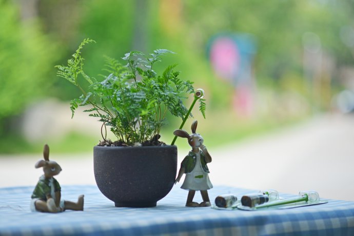 花园里防蚊子,在花园里劳作