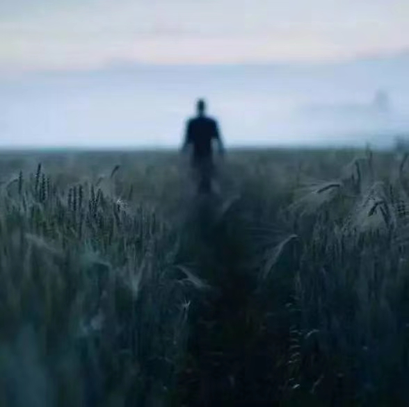 乡村故事王老七,乡村王老七图片