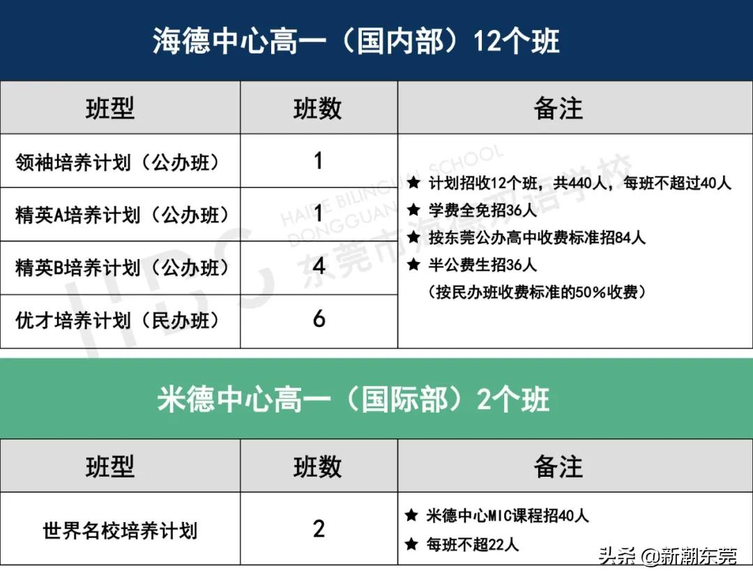 东莞外国语高中黑马,东莞黑马学校