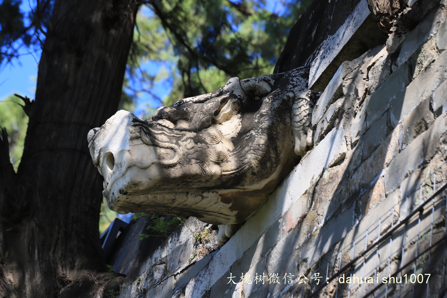 嘉靖陵墓永陵和永乐大典,明朝十三陵之永陵