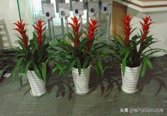 静电的可怕,科普静电对人有什么危害