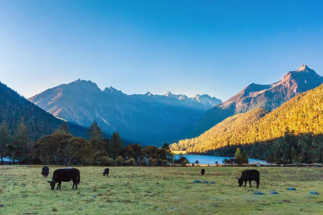 世界十大必去旅游城市,世界十大最值得去的地方