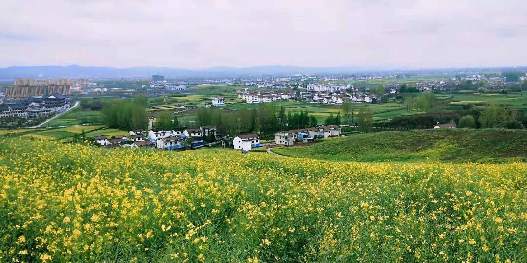 春天真美啊美得像什么,春天真美呀补充完整句子