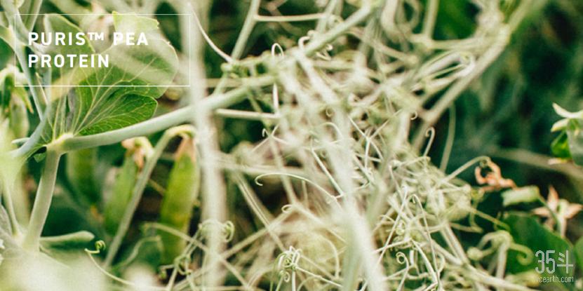 获嘉吉,获嘉吉企业投资