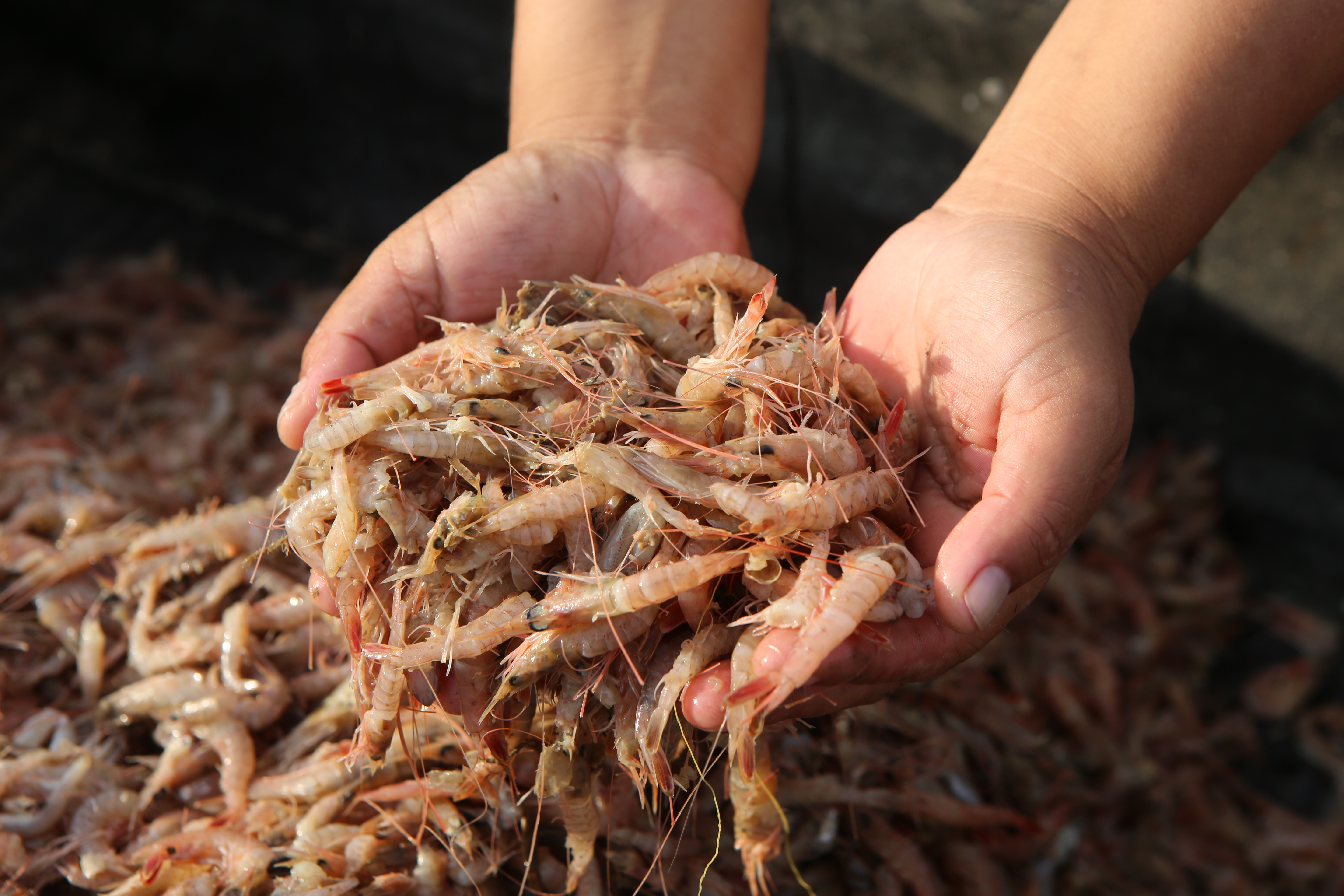 海滨度假推荐,海滨旅游休闲度假