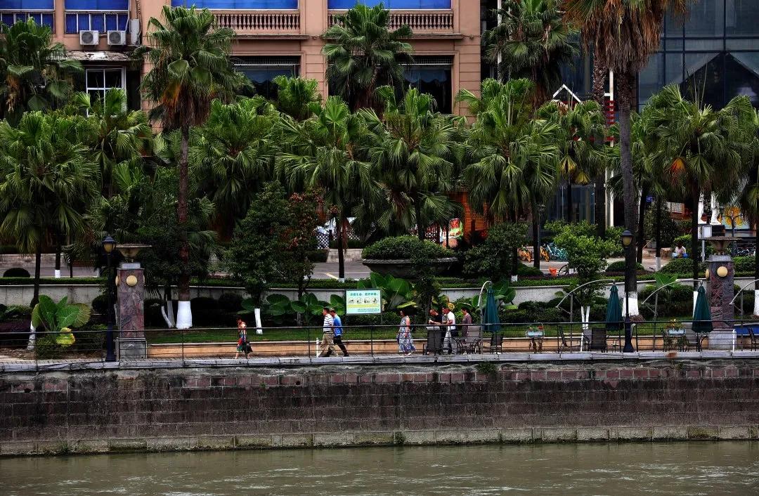 成都城南4条最美街道,成都天府新区风景优美的地方